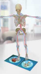 Anatomia Super screenshot 3