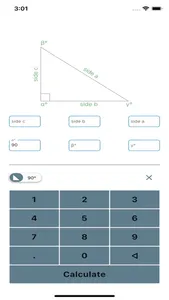 TriangleData screenshot 0