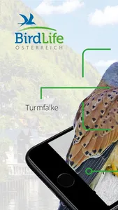 Vögel in Österreich screenshot 0