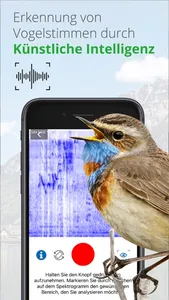 Vögel in Österreich screenshot 2