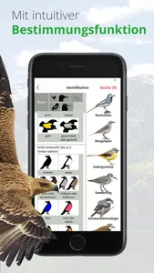 Vögel in Österreich screenshot 9