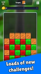 World Puzzle Tour screenshot 3