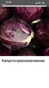 M&R - доставка продуктов screenshot 2