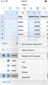 Easy CSV Editor Mobile screenshot 3