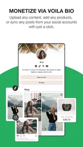 VOILA: Monetize with Ease screenshot 0