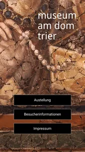 Museum am Dom screenshot 0