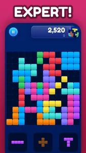 Puzzle Block Brain Teaser screenshot 7