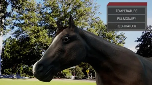 Trot To Trophy 2: TPR AR screenshot 2