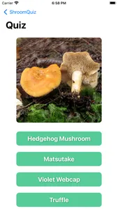 ShroomQuiz screenshot 1