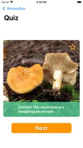 ShroomQuiz screenshot 2