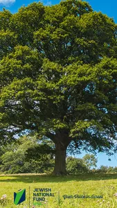 JNF - USA screenshot 0