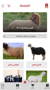 نشمي للذبائح screenshot 2