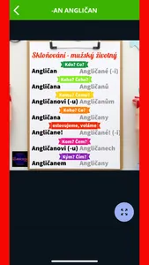 Czech Pocket Declensions screenshot 6