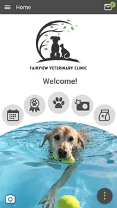 Fairview Veterinary Clinic screenshot 0