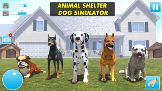 Animal Shelter Dog Rescue Game screenshot 0