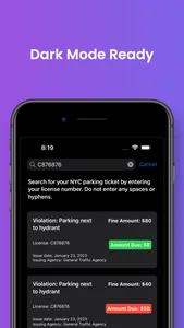 NYC Parking Ticket Search screenshot 1