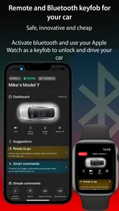 My Tesla Remote screenshot 0