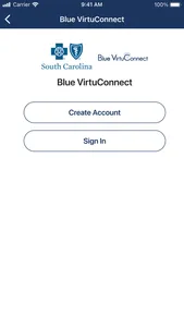 Blue VirtuConnect screenshot 1