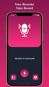 Voice Recorder: Voice Record screenshot 0