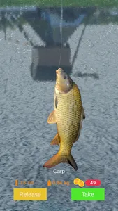 Bobber Fishing screenshot 1