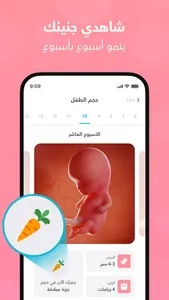 ماماز+ | حاسبة ومتابعة الحمل screenshot 0