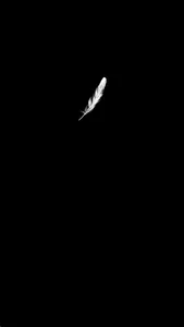 Feather. screenshot 0