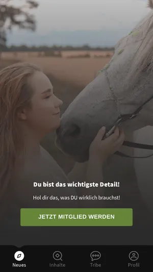 Detailreiterei screenshot 0