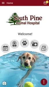 South Pine Animal Hospital screenshot 0