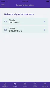 Dandex Courier screenshot 2