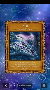 Animal Insight Oracle-Cards screenshot 4