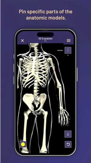 BioScope Anatomy 3D&AR Model screenshot 8
