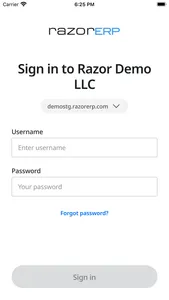 RAZOR ERP screenshot 2