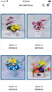 Blue Flowers Shop screenshot 2