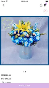 Blue Flowers Shop screenshot 3