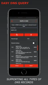 Simple DNS screenshot 0