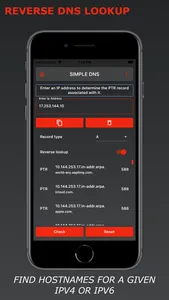 Simple DNS screenshot 2