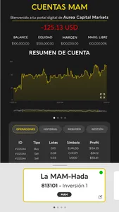 Aurea CM S.A.P.I: de C.V screenshot 2