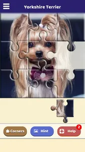 Yorkshire Terrier Puzzle screenshot 0