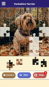 Yorkshire Terrier Puzzle screenshot 2