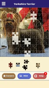 Yorkshire Terrier Puzzle screenshot 4