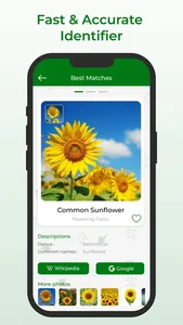 Plant Identifier + screenshot 2