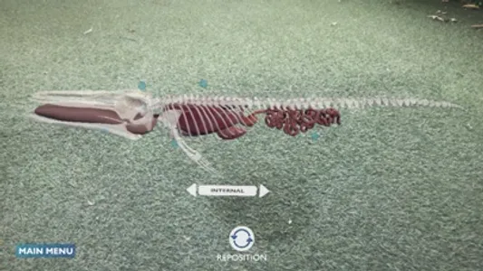 Blue Whale AR Encounter screenshot 2