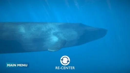 Blue Whale AR Encounter screenshot 6