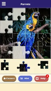 Parrot Love Puzzle screenshot 2