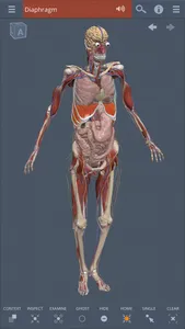 Primal's 3D Whole body screenshot 0