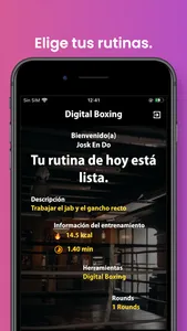 Digital Boxing screenshot 3