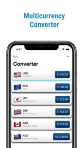 Exchanger (Currency Converter) screenshot 0