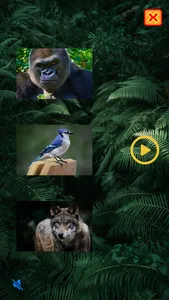 Animal Names and Sounds screenshot 2