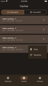 Video Cacher screenshot 1