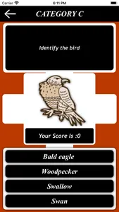 The Birds Knowledge screenshot 0